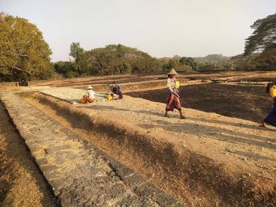 Construction of a concrete payment inside Mrauk-U palace stopped after public protest